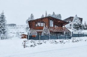Les petites marmottes - T2 cabine en rez-de-chaussée d'un chalet